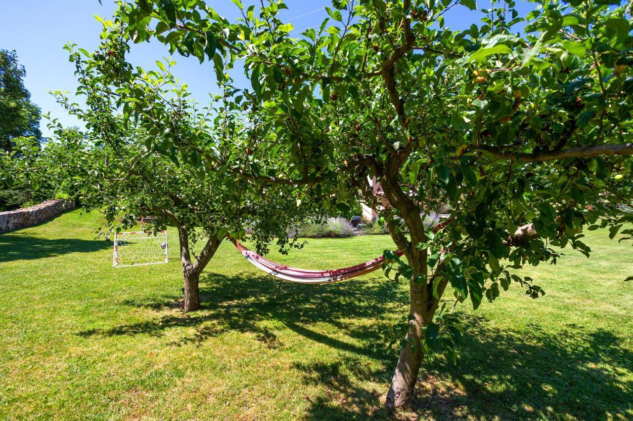 Villa Krizanci Žminj Eksteriør bilde